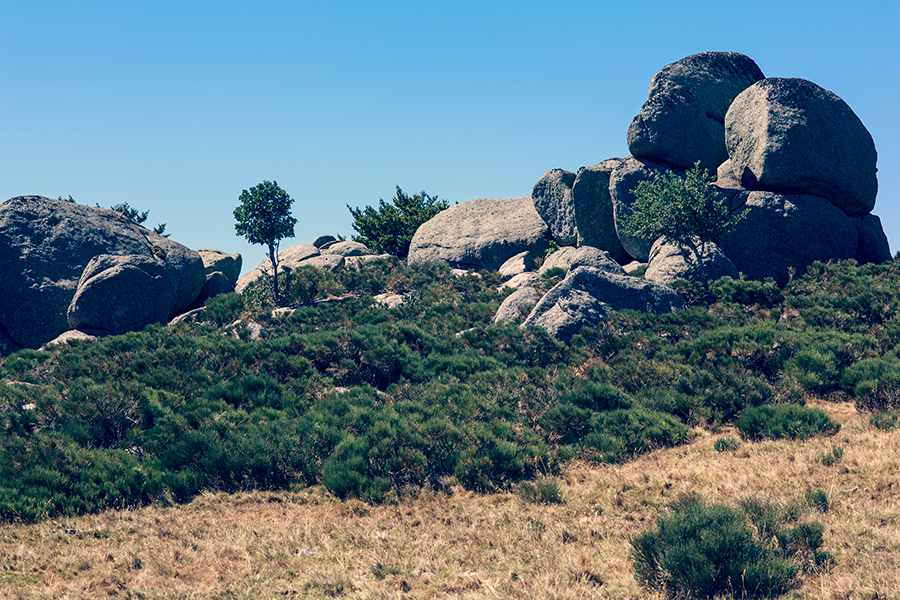 Mont Lozère - Languedoc Roussillon