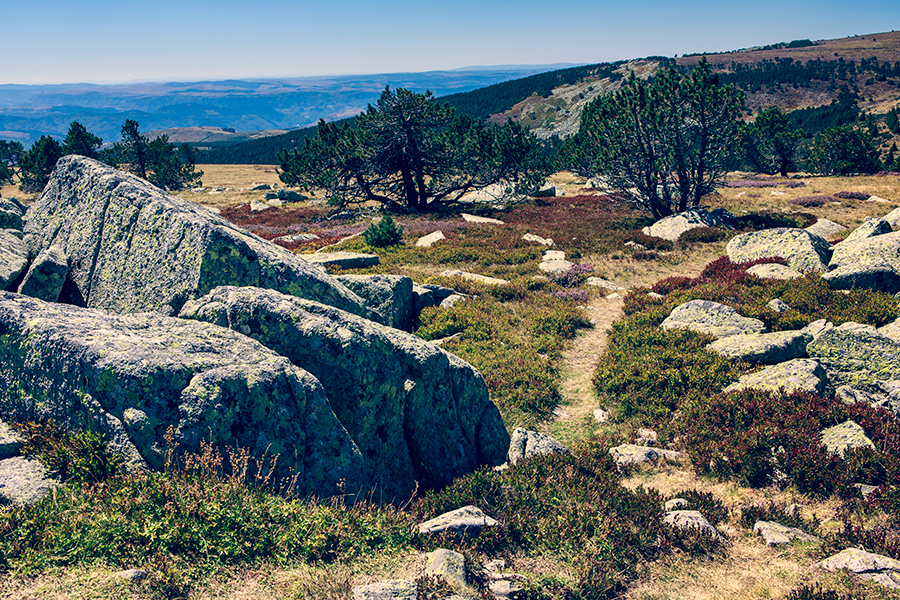 Mont Lozère - Languedoc Roussillon