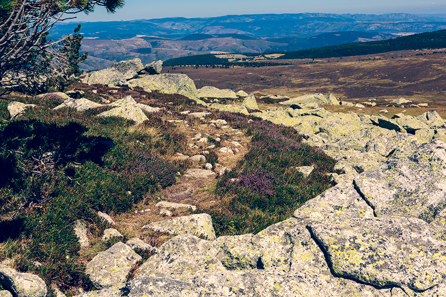 Mont Lozère - Languedoc Roussillon