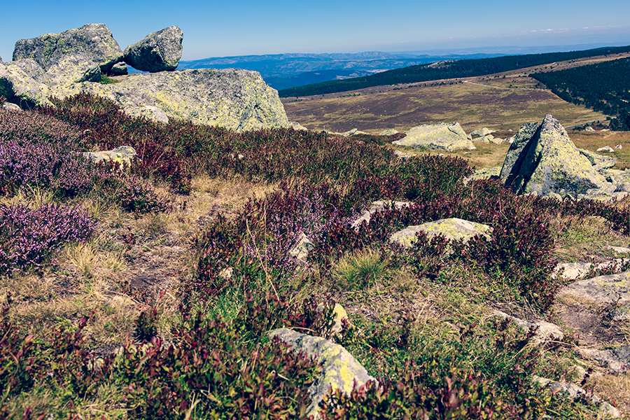 Mont Lozère - Languedoc Roussillon