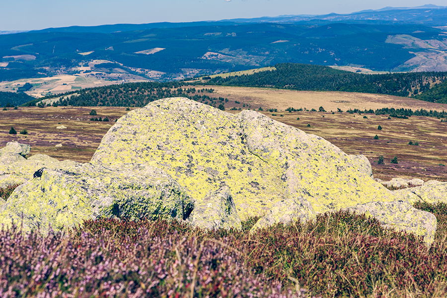 Mont Lozère - Languedoc Roussillon