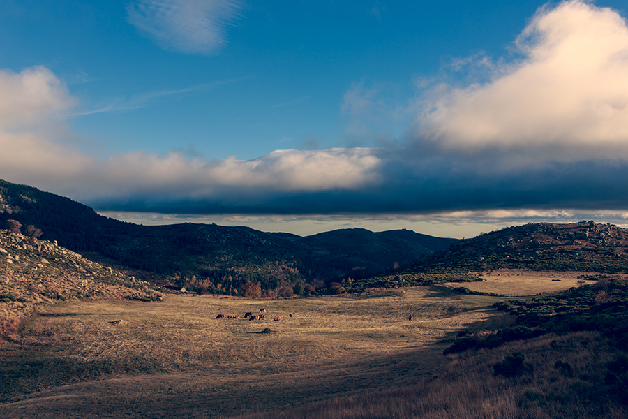 Lozère - Languedoc Roussillon