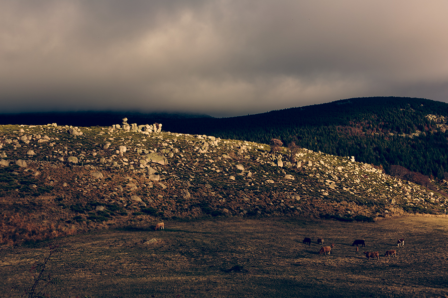 Lozère - Languedoc Roussillon