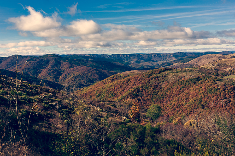 Lozère - Languedoc Roussillon