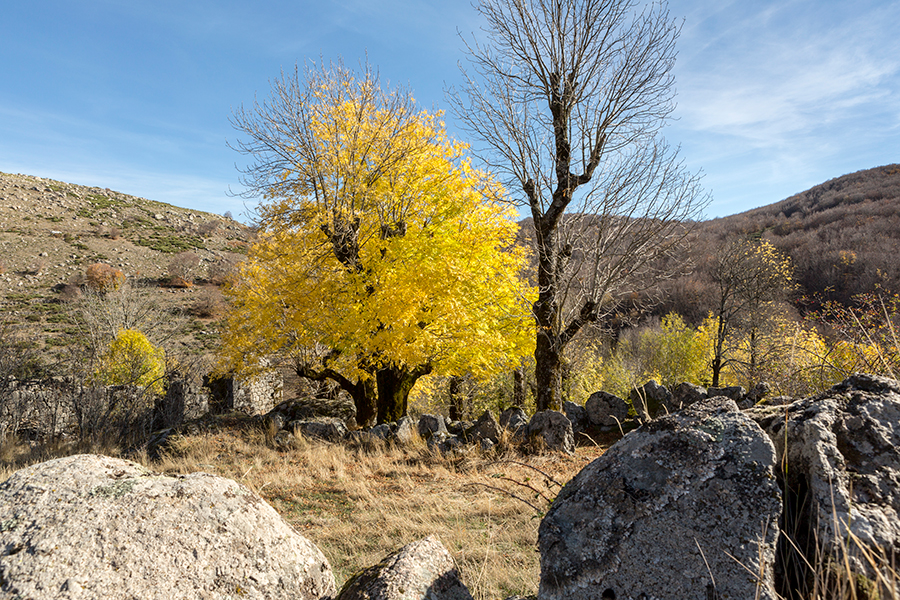 Lozère - Languedoc Roussillon