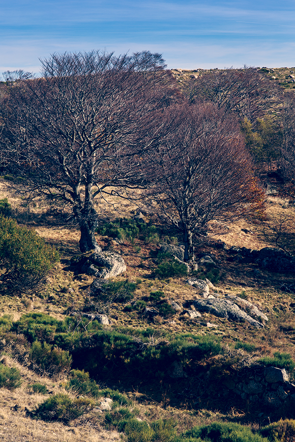 Lozère - Languedoc Roussillon