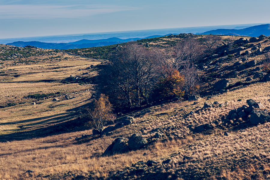 Lozère - Languedoc Roussillon