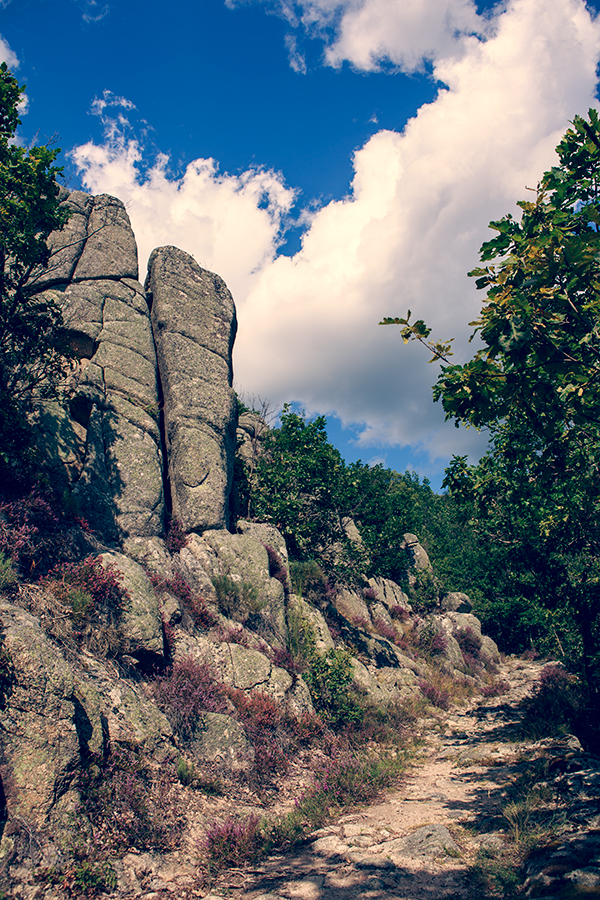 Grizac - Lozère - Languedoc Roussillon