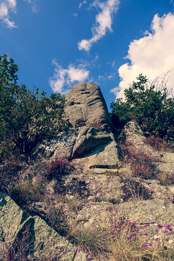 Grizac - Lozère - Languedoc Roussillon