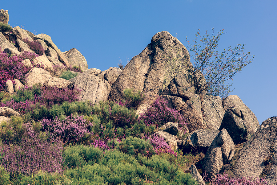 Grizac - Lozère - Languedoc Roussillon