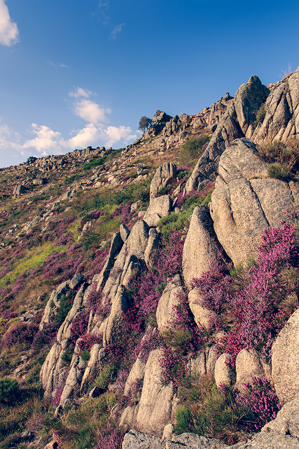 Grizac - Lozère - Languedoc Roussillon