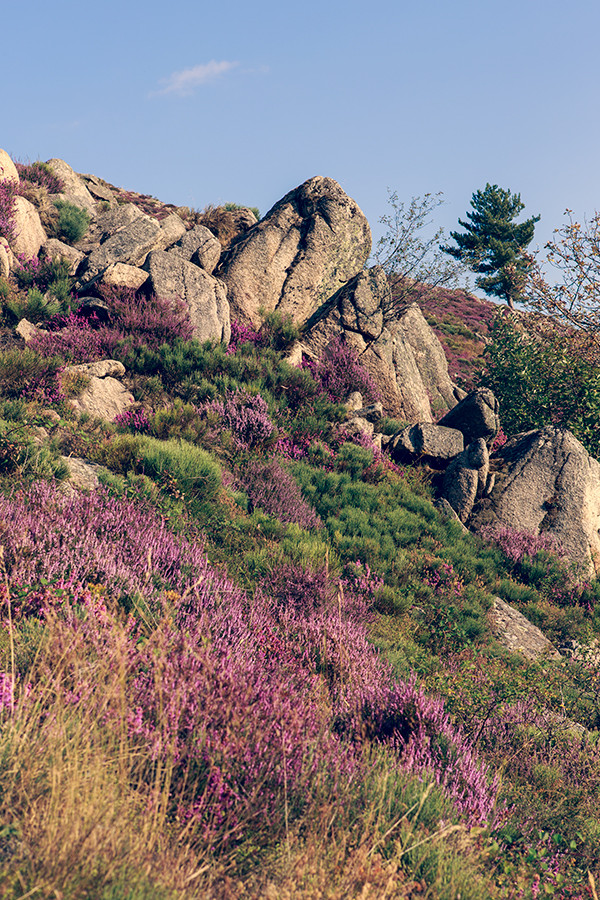 Grizac - Lozère - Languedoc Roussillon