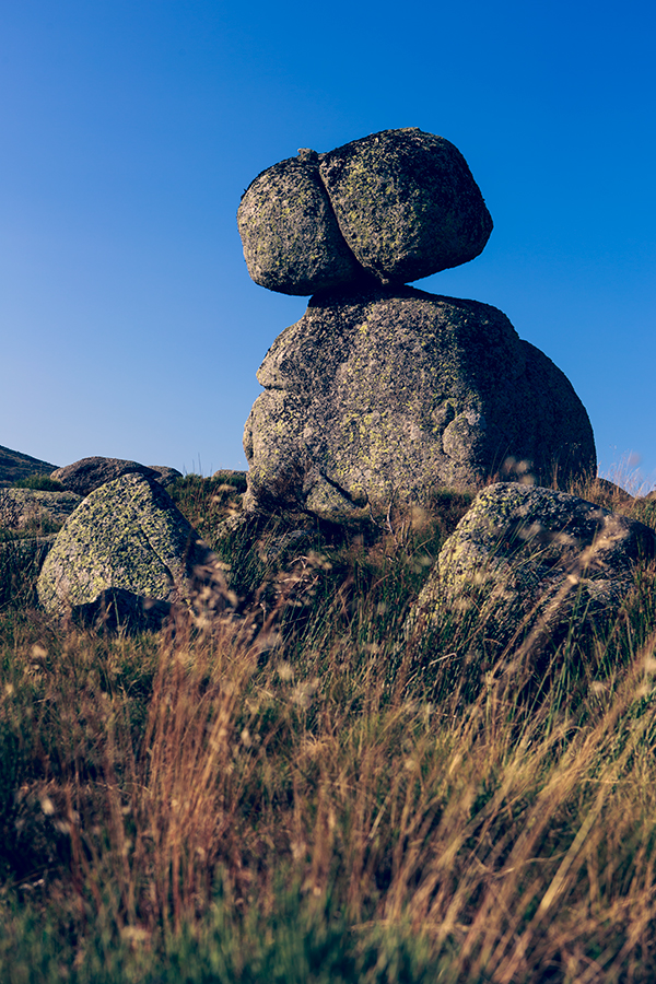 Mas Camargues - Lozère - Languedoc Roussillon