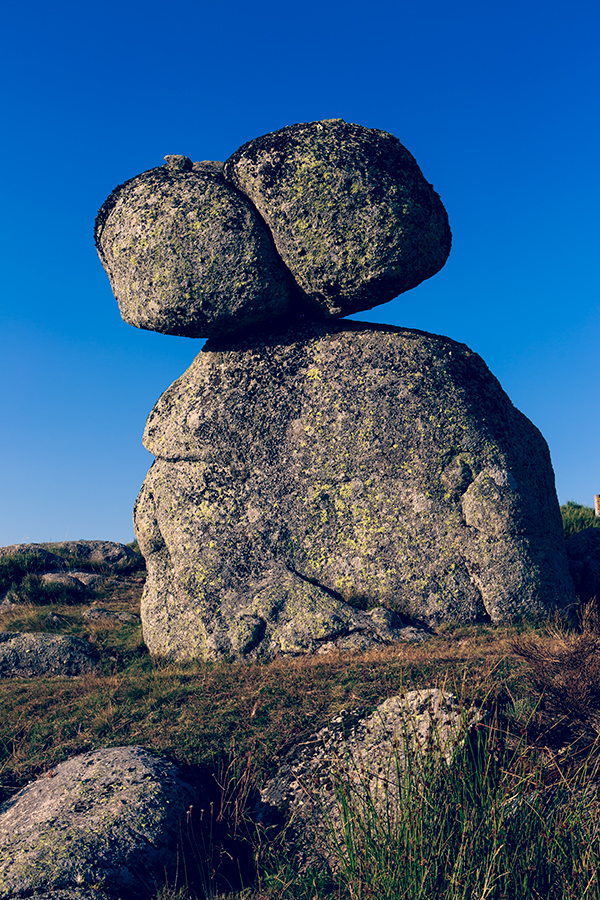 Mas Camargues - Lozère - Languedoc Roussillon