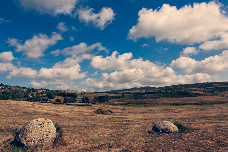 Mas Camargues - Lozère - Languedoc Roussillon