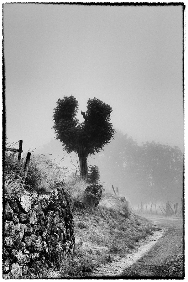 Grizac - Lozère - Languedoc Roussillon