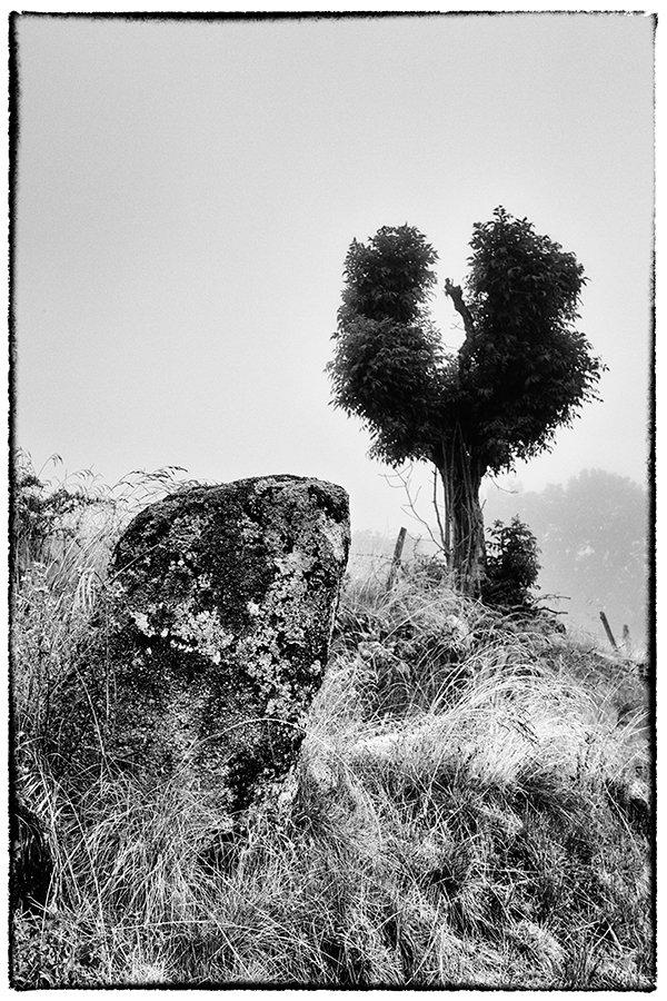 Grizac - Lozère - Languedoc Roussillon