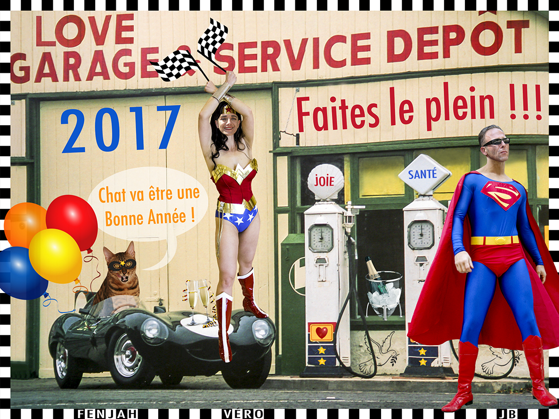 Carte de vœux 2017