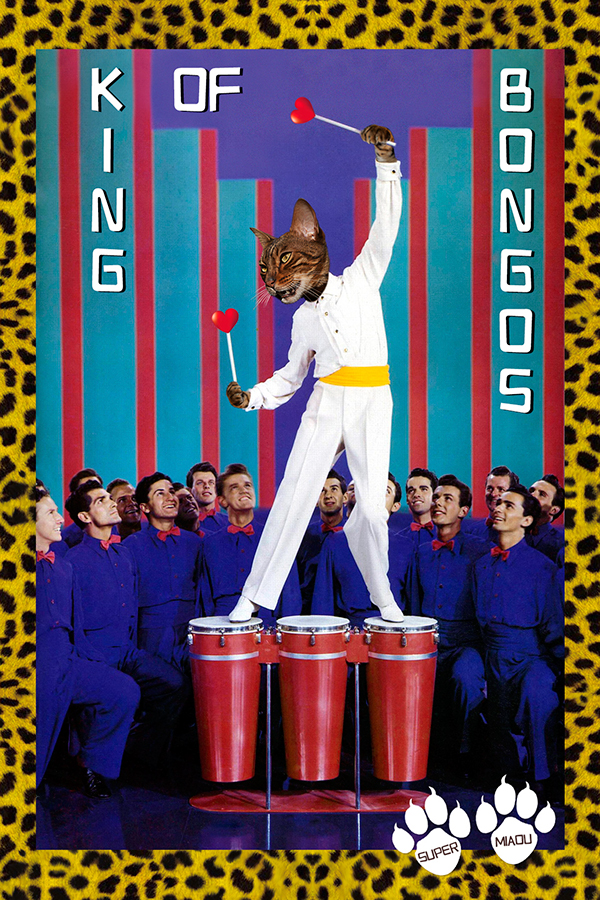 King of Bongos