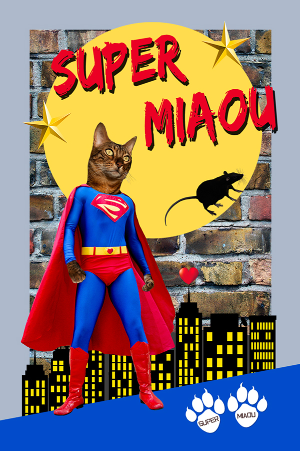 Super Miaou