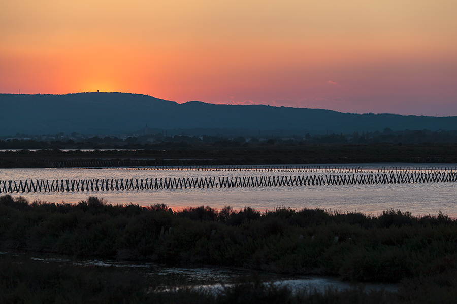 Villeneuve les Maguelones - Languedoc Roussillon - Hérault