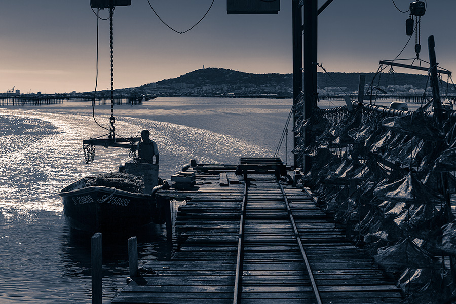 Sète vue de Bouzigues