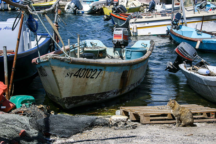 Sète, La Pointe Courte