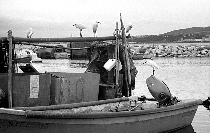 Sète, La Pointe Courte