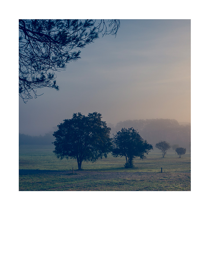 Domaine de Restinclières - Hérault - Languedoc Roussillon