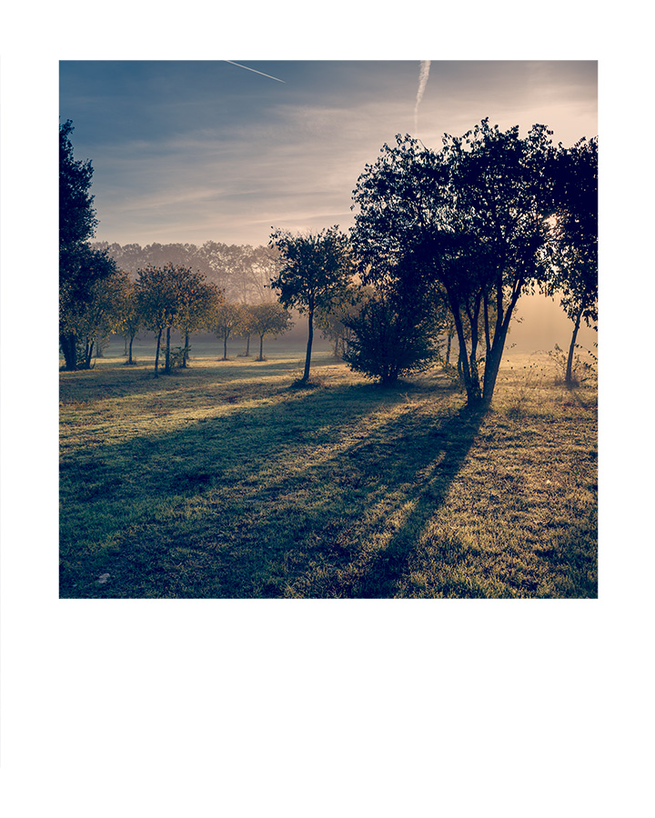 Domaine de Restinclières - Hérault - Languedoc Roussillon