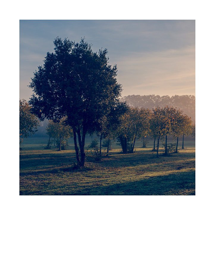 Domaine de Restinclières - Hérault - Languedoc Roussillon