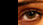 photo oeil