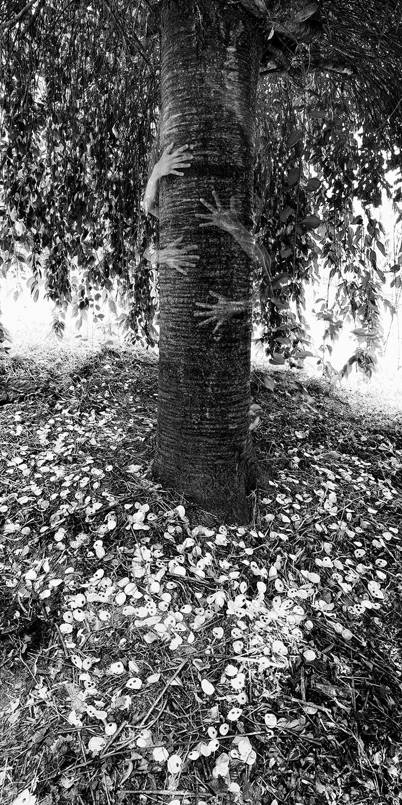 L'étreinte intemporelle de Véronique Rivera